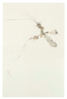 花田展DM画像
